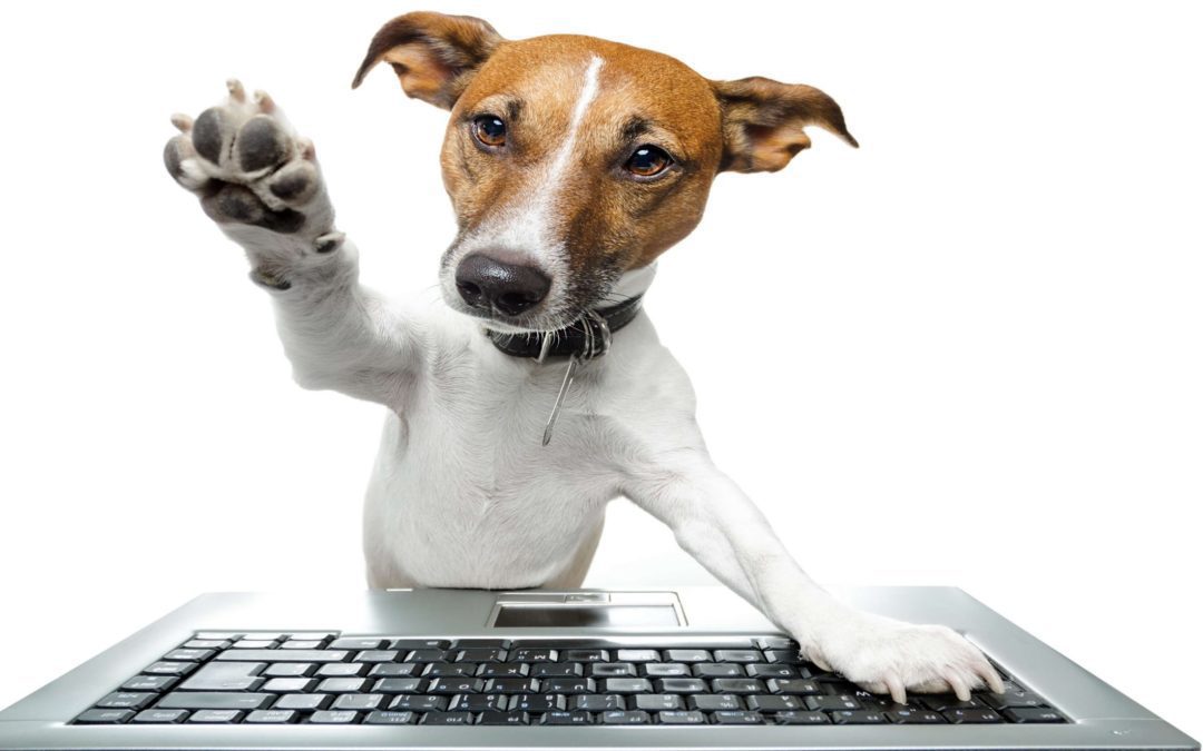 Website Layout – 4 Tipps und Tricks