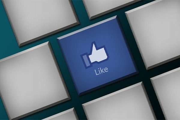 Facebook Like Button